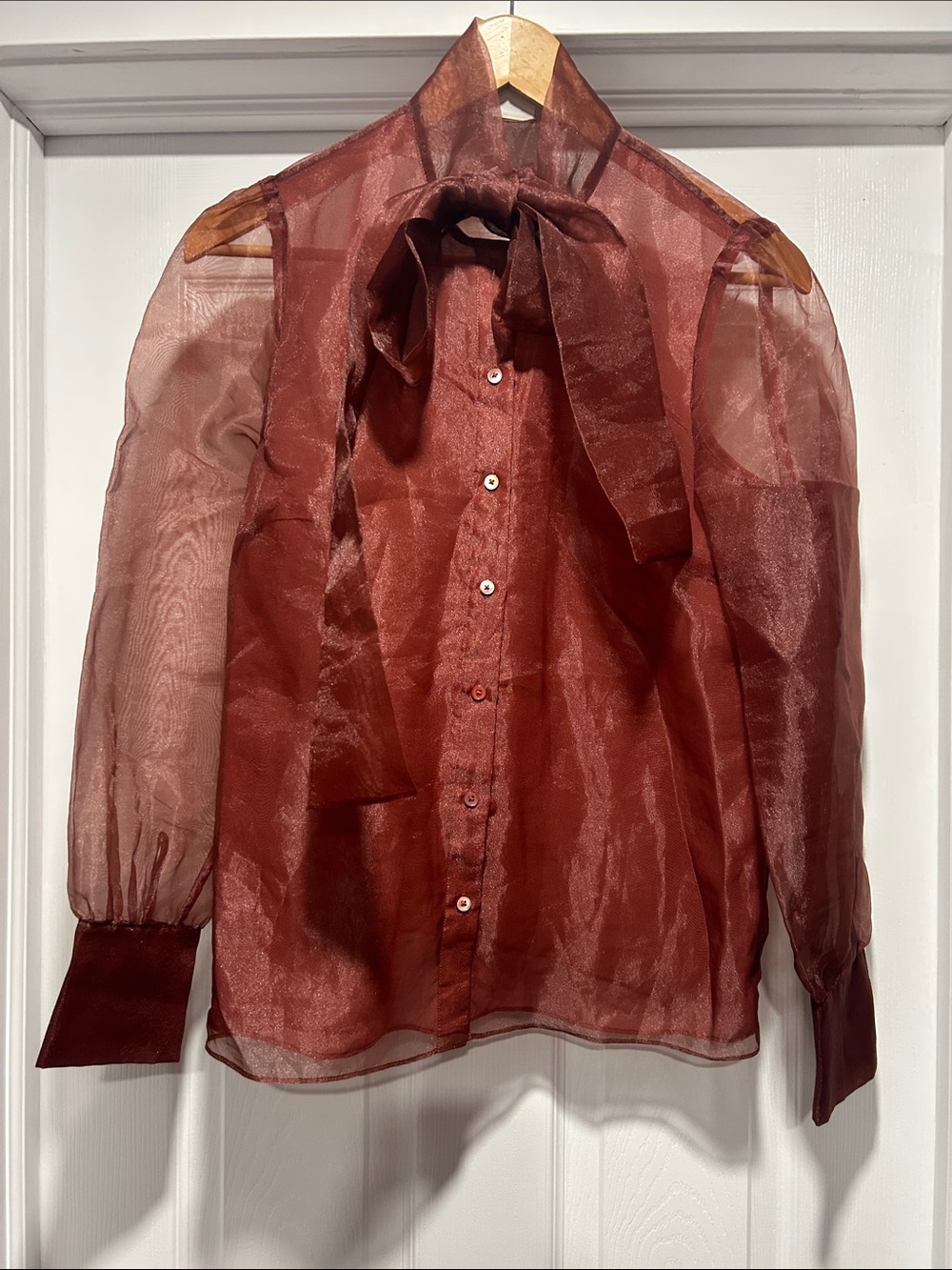 Babaton Sheer Bow-Tie Blouse in Rust